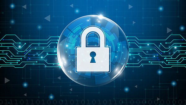 Palms Insurance Privacy Policy: Lock icon on blue background, security